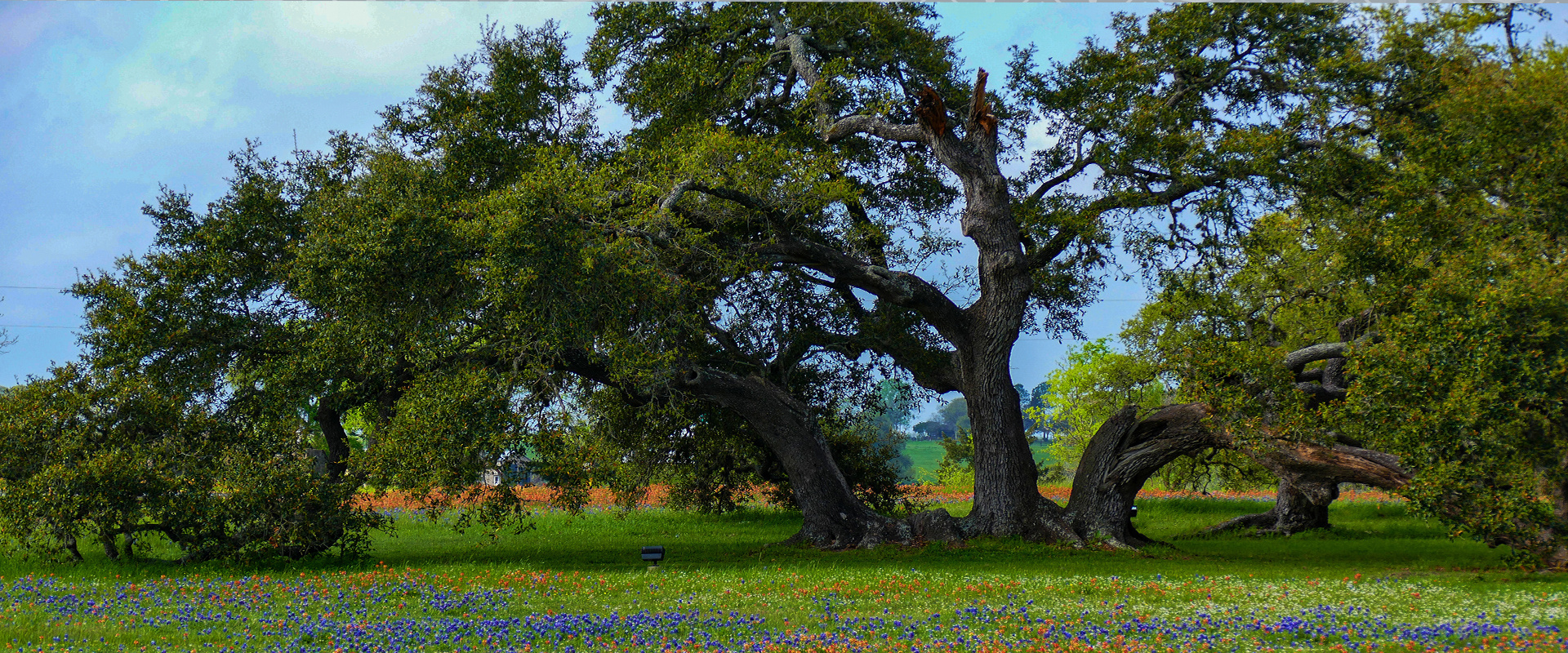 Development Underway at Fulshear Rose Estates in Fulshear, TX